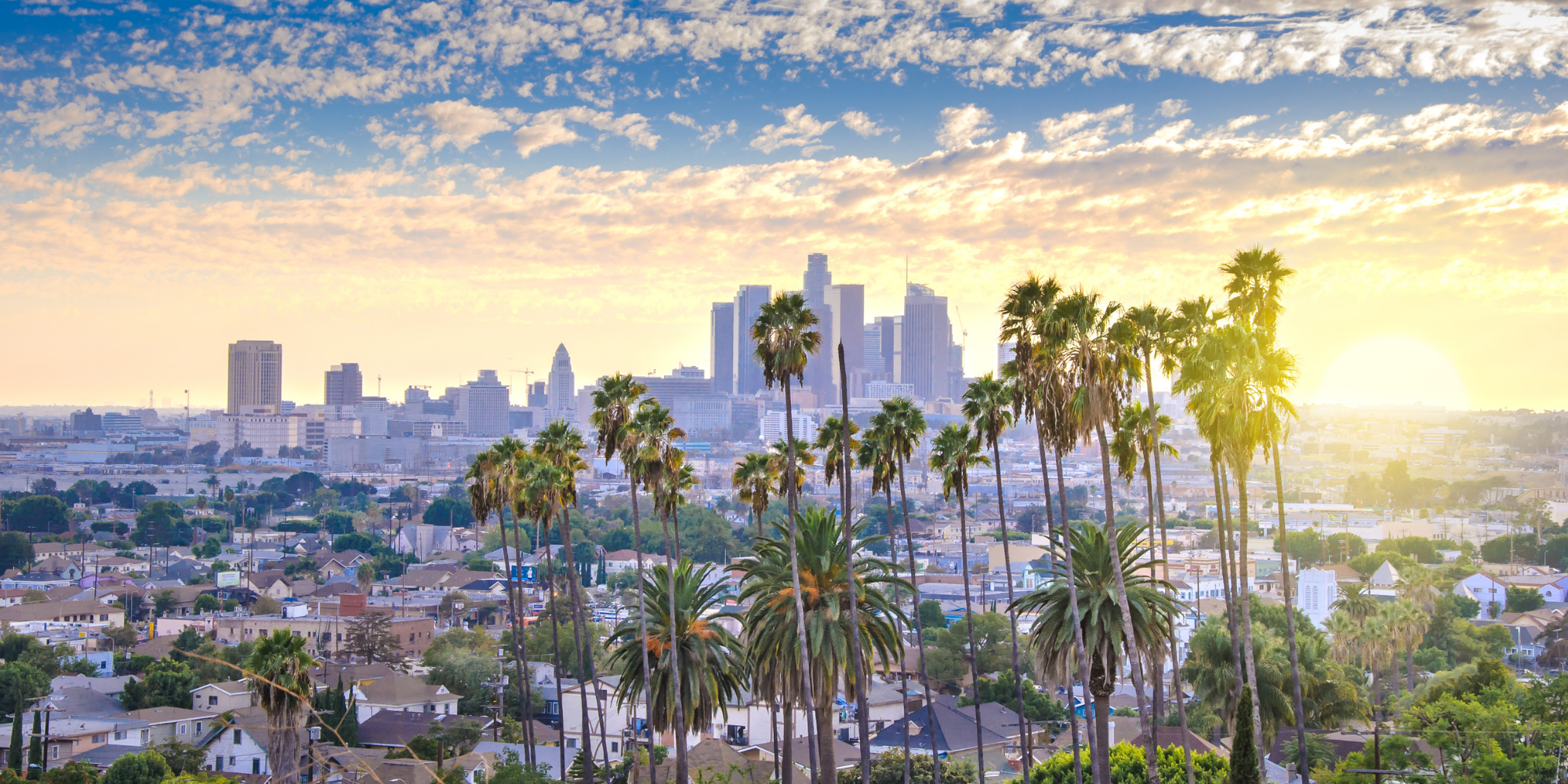 University of California at Los Angeles